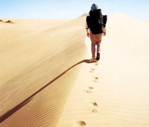 Entdecken. Erleben. Verstehen.